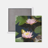 Rosa Lotus-Wasserlilien-Magnet Magnet (Vorderseite/Rückseite)
