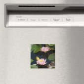 Rosa Lotus-Wasserlilien-Magnet Magnet (In Situ (Geschirrspüler))