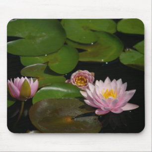 Rosa Lotus-Wasserlilien Maus-Pad Mousepad