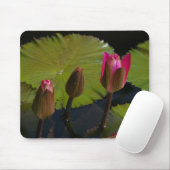 Rosa Lotus-Wasserlilien Maus-Pad Mousepad (Mit Mouse)