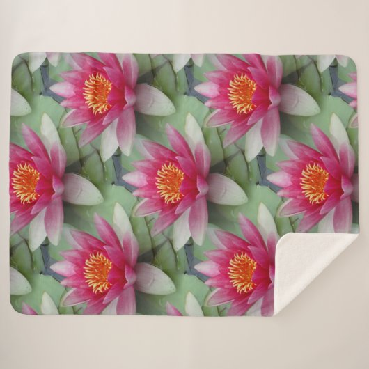 Rosa Lotus Water Lily Sherpa Blankon Sherpadecke (Vorderseite (Horizontal))