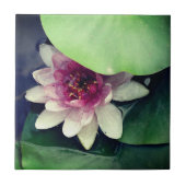 Rosa Lotus Zeichnend Foto Tile Fliese (Vorderseite)