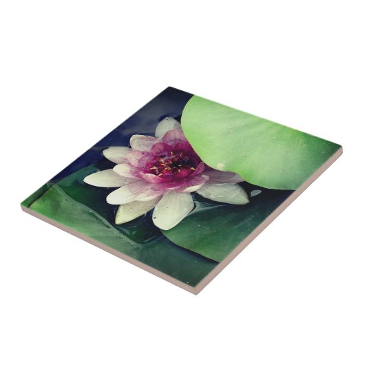 Rosa Lotus Zeichnend Foto Tile Fliese (Seite)