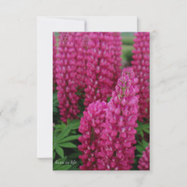 Rosa Lupine-Flachbildschirm Mitteilungskarte