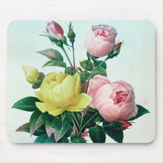 Rosa Lutea und Rosa Indica Mousepad (Vorne)