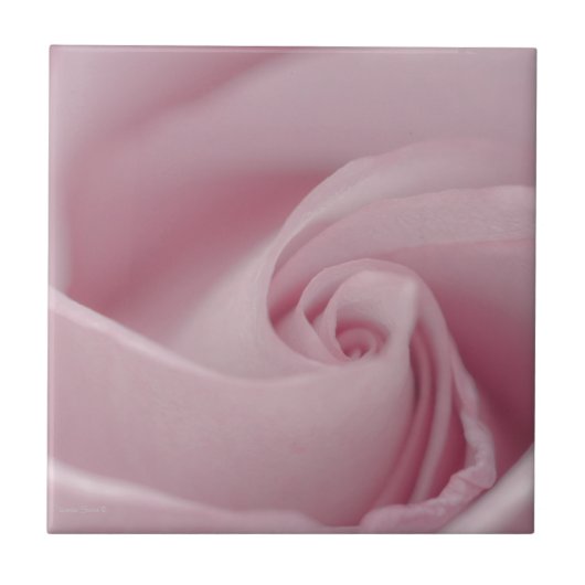 Rosa Macro Fliese (Vorderseite)