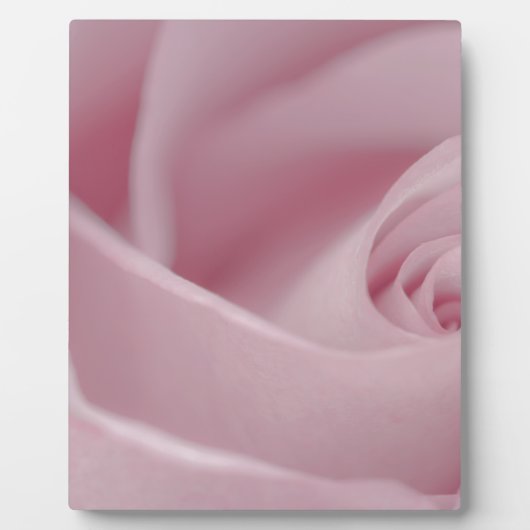 Rosa Macro Fotoplatte (Vorderseite)