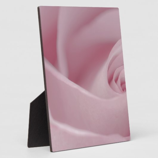 Rosa Macro Fotoplatte (Seite)