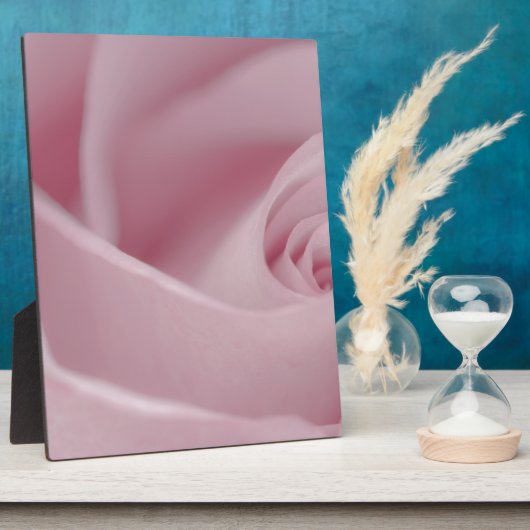 Rosa Macro Fotoplatte (Seite)