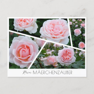 Rosa Mäerchenzauber Postkarte