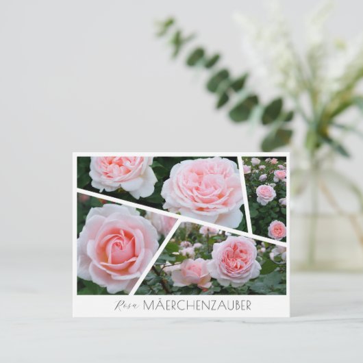 Rosa Mäerchenzauber Postkarte (Stehend Vorderseite)