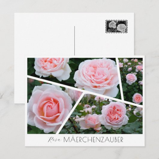 Rosa Mäerchenzauber Postkarte (Vorne/Hinten)