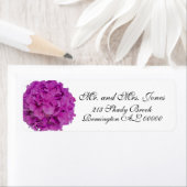 Rosa Magenta-Hydrangeas-Rose (Insitu)