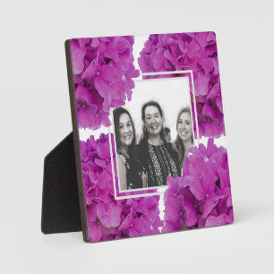 Rosa Magenta-Hydrangeas-Rose Fotoplatte