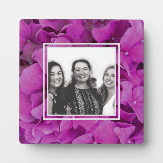 Rosa Magenta-Hydrangeas-Rose Fotoplatte (Vorderseite)