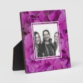 Rosa Magenta-Hydrangeas-Rose Fotoplatte (Vorderseite)