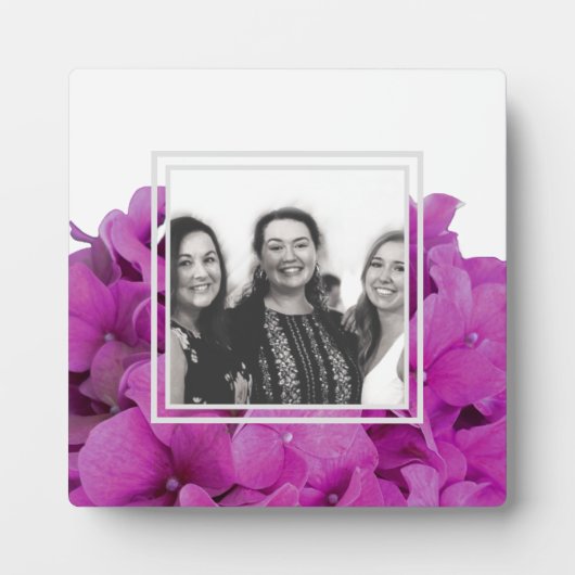 Rosa Magenta-Hydrangeas-Rose Fotoplatte (Vorderseite)