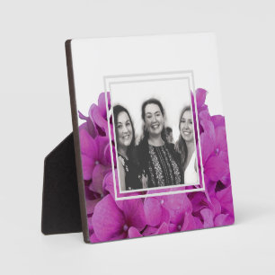 Rosa Magenta-Hydrangeas-Rose Fotoplatte