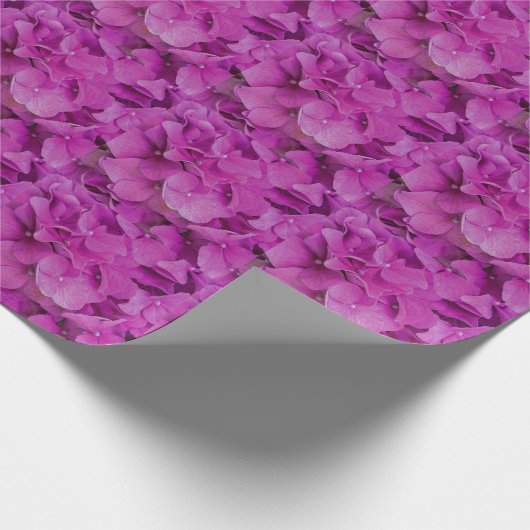 Rosa Magenta-Hydrangeas-Rose Geschenkpapier (Ecke)