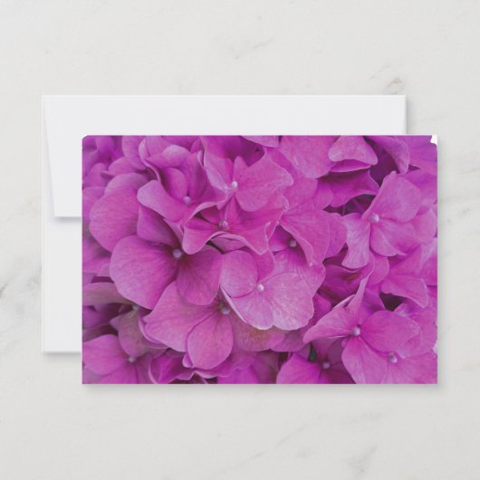 Rosa Magenta-Hydrangeas-Rose Save The Date (Rückseite)