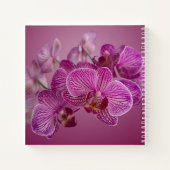 Rosa Magenta Orchid-Blume Monogramm Notizblock (Rückseite)