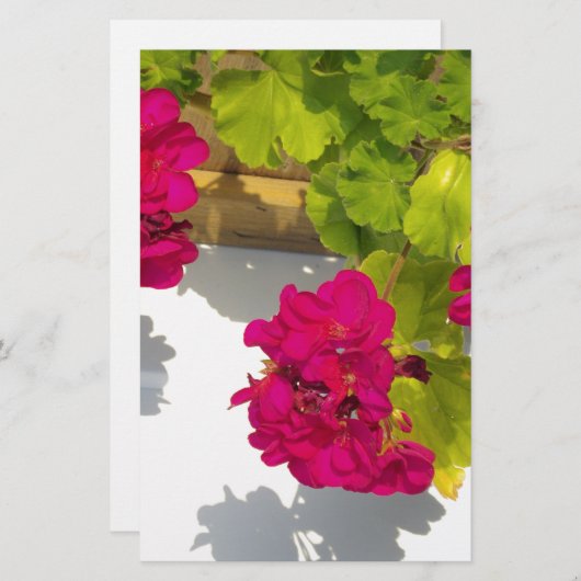 Rosa Magenta Rosa Blume Briefpapier (Vorne/Hinten)