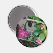 Rosa Magnet (Vorderseite/Rückseite)
