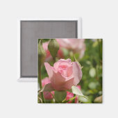 Rosa Magnet (Vorderseite/Rückseite)