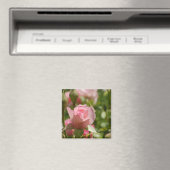 Rosa Magnet (In Situ (Geschirrspüler))