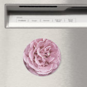 Rosa Magnet (In Situ (Geschirrspüler))