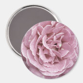 Rosa Magnet (Vorderseite/Rückseite)
