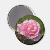 Rosa Magnet (Vorderseite/Rückseite)