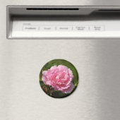 Rosa Magnet (In Situ (Geschirrspüler))