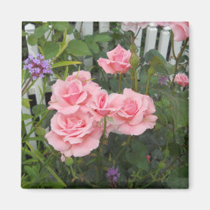 Rosa Magnet