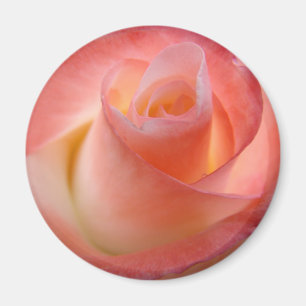 Rosa Magnete Floral Valentine personalisieren Magnet
