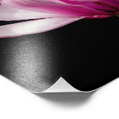Rosa Magnolia auf schwarz Fotodruck (Ecke)