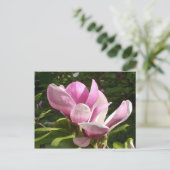 Rosa Magnolia Blume Postkarte (Stehend Vorderseite)