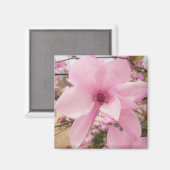 Rosa Magnolia Blume Square Magnet (Vorderseite/Rückseite)