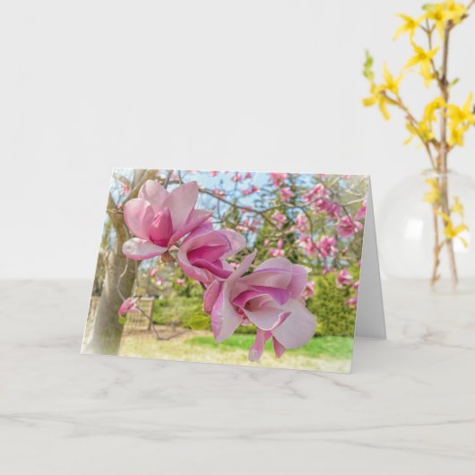 Rosa Magnolia Blüten Foto Grußkarte Karte (Gelbe Blume)