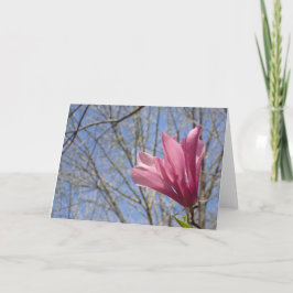 Rosa Magnolienblüte Foto - leere Karte