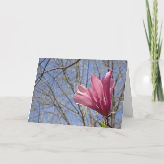 Rosa Magnolienblüte Foto - leere Karte (Vorderseite)