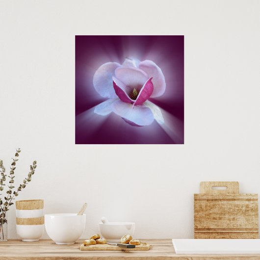 Rosa Magnolienfarben Poster (Küche)