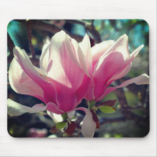 Rosa Magnolische Blume Blüten Mousepad