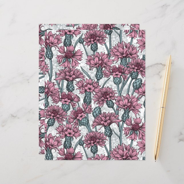 Rosa Maisblumen, weiße Blume (Vorderseite/Rückseite Beispiel)