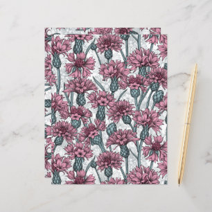 Rosa Maisblumen, weiße Blume