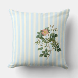 Rosa Malmundariensis Kissen: Bloom Chic! Kissen