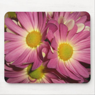 Rosa Mamas Mousepad