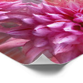 Rosa Mandala Von der subtropischen Vegetation in d Poster (Ecke)