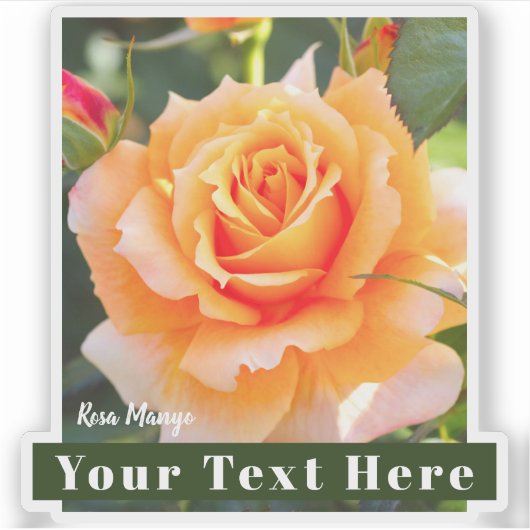 Rosa Manyo [Cut Seal] Aufkleber (Vorderseite)