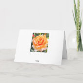 Rosa Manyo [Greeting Card] Karte (Rückseite)